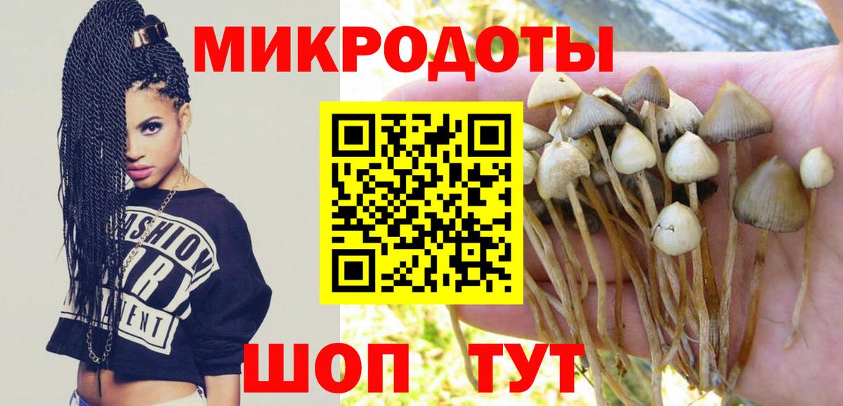 Калуга  Псилоцибиновые грибы Psilocybine cubensis  Вход с VPN 